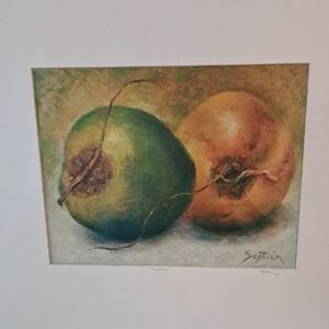 Coconuts Coquitos Art Giclee Print